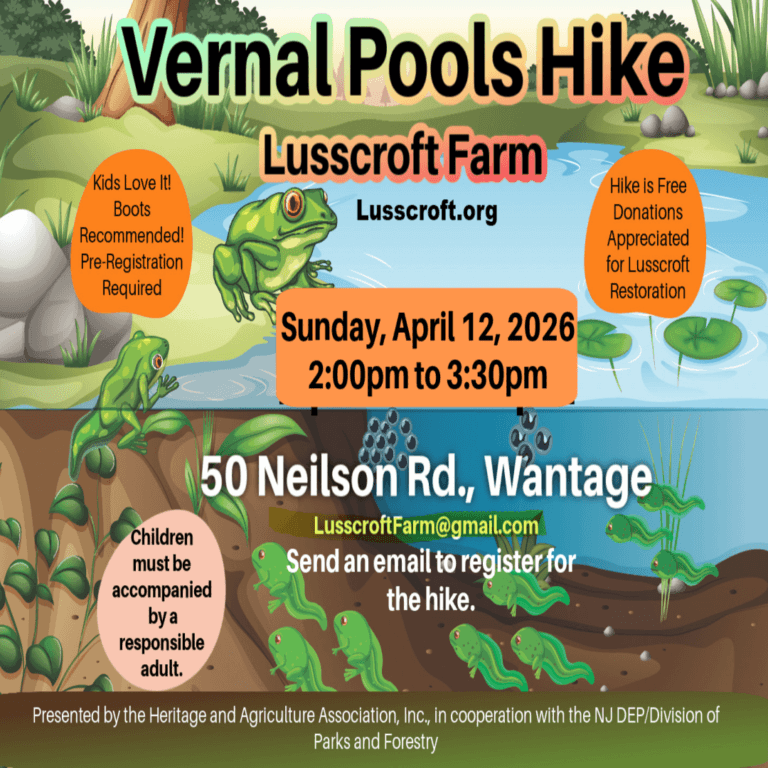 Vernal Pools Hike at Lusscroft Farm
