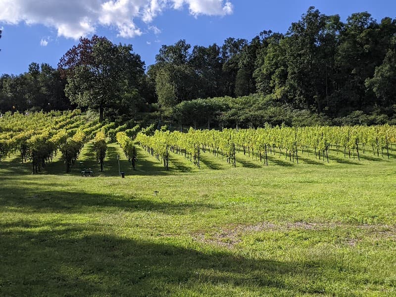 Sinus Rhythm @ Clearview Vineyard and Winery